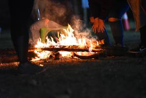 BIB: 
                            <button type="button" onclick="openModal(7009495)" class="btn btn-primary btn-sm float-right btn-popup" data-toggle="modal" data-target=".modal-high-quality">
                        <i class="fas fa-shopping-cart"></i> Add to Cart
                    </button>
                                            <button type="button" onclick="isThisMe(7009495, true)" class="btn btn-success btn-sm float-right btn-popup btn-isme hidden" data-toggle="tooltip" data-placement="bottom" title="นี่คือรูปของคุณใช่ไหม คลิกที่นี่เพื่อเอาเข้าอัลบั้ม">
                        <i class="fas fa-plus"></i> Add to album
                    </button>
                    <button type="button" onclick="isThisMe(7009495, false)" class="btn btn-warning btn-sm float-right btn-popup btn-isnotme hidden">
                        <i class="fas fa-ban"></i> Remove from album
                    </button>